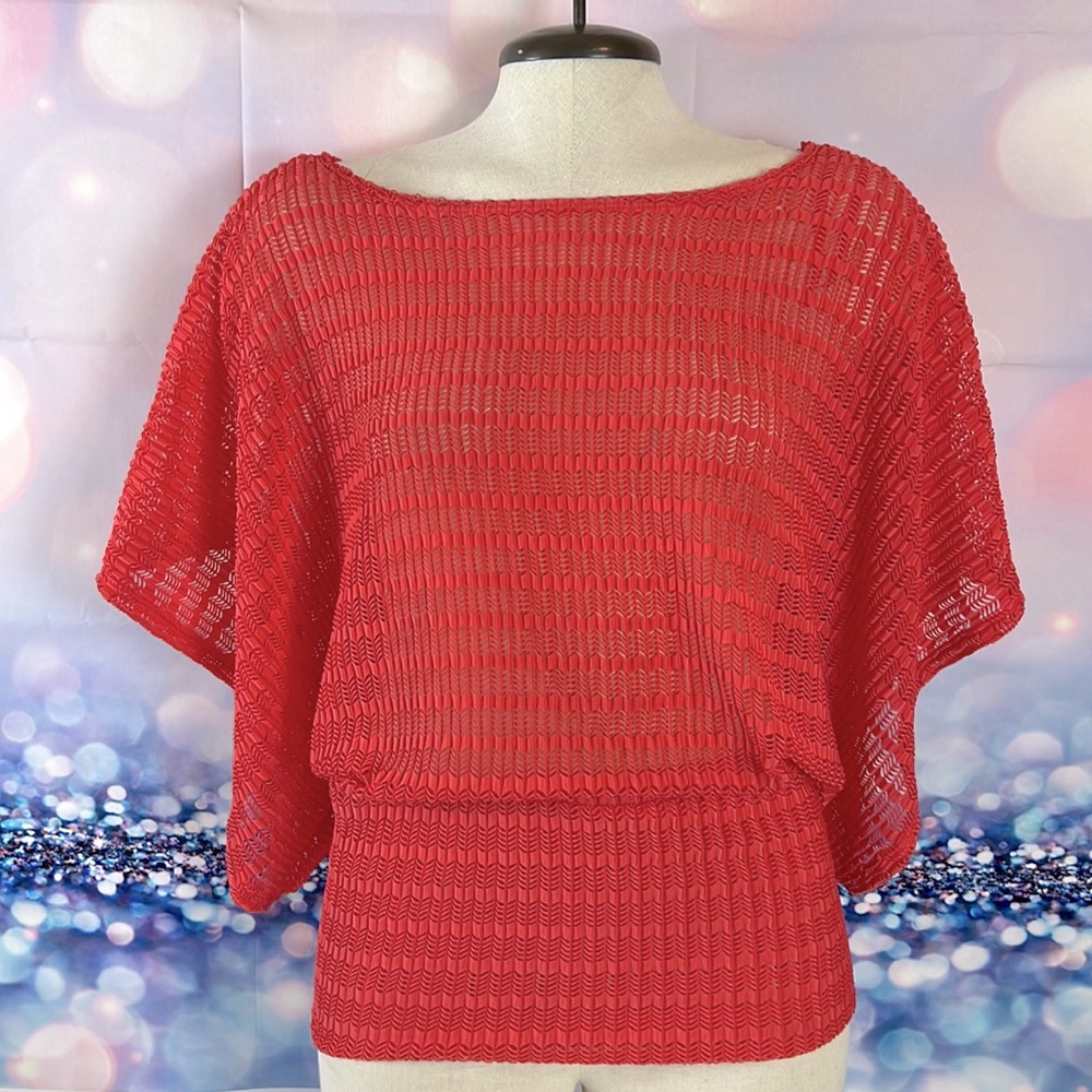 Brink Pink Ladies See Through Top.